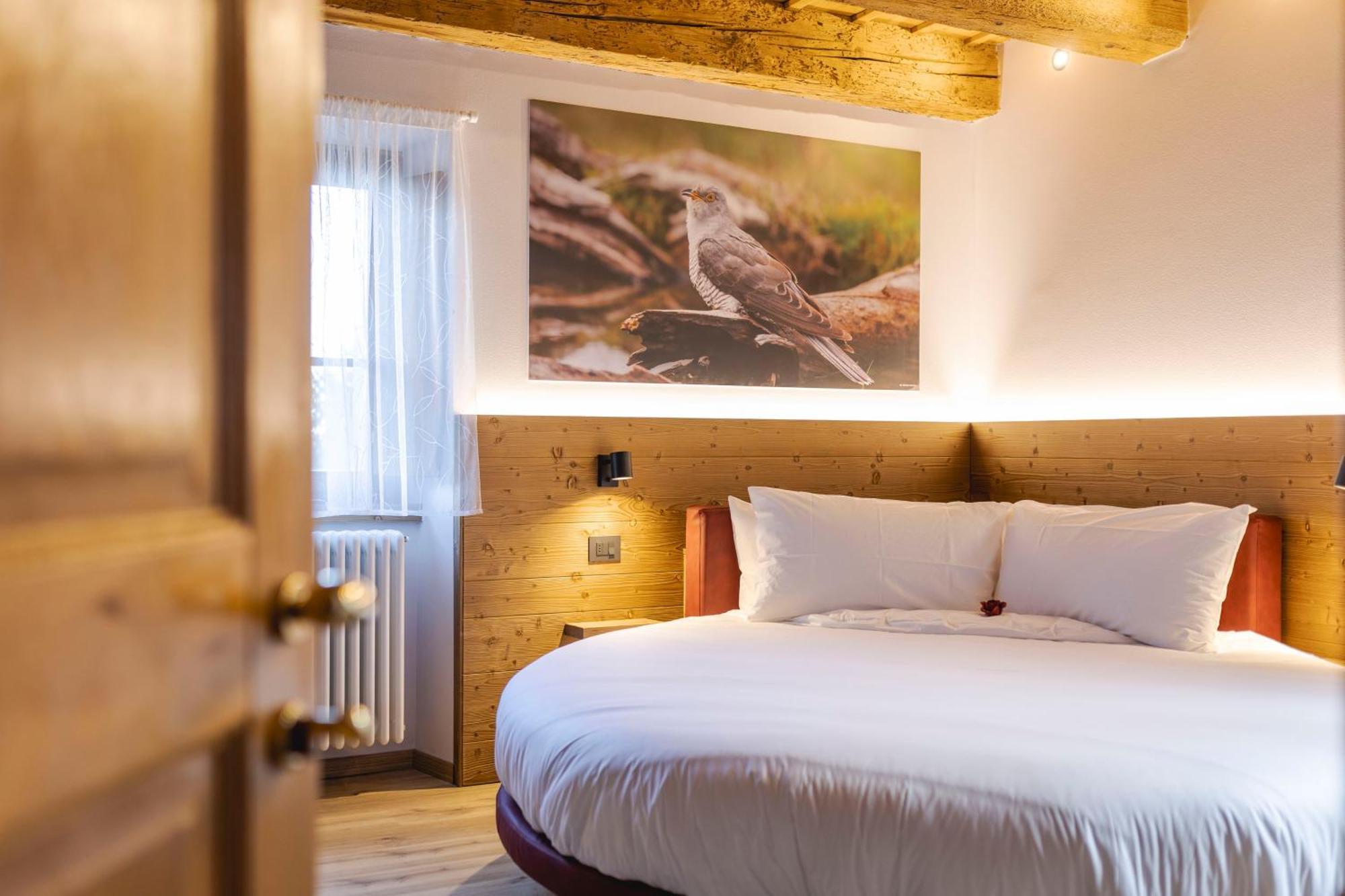 Granduca Mountain Wellness Apartments Campigna Ngoại thất bức ảnh
